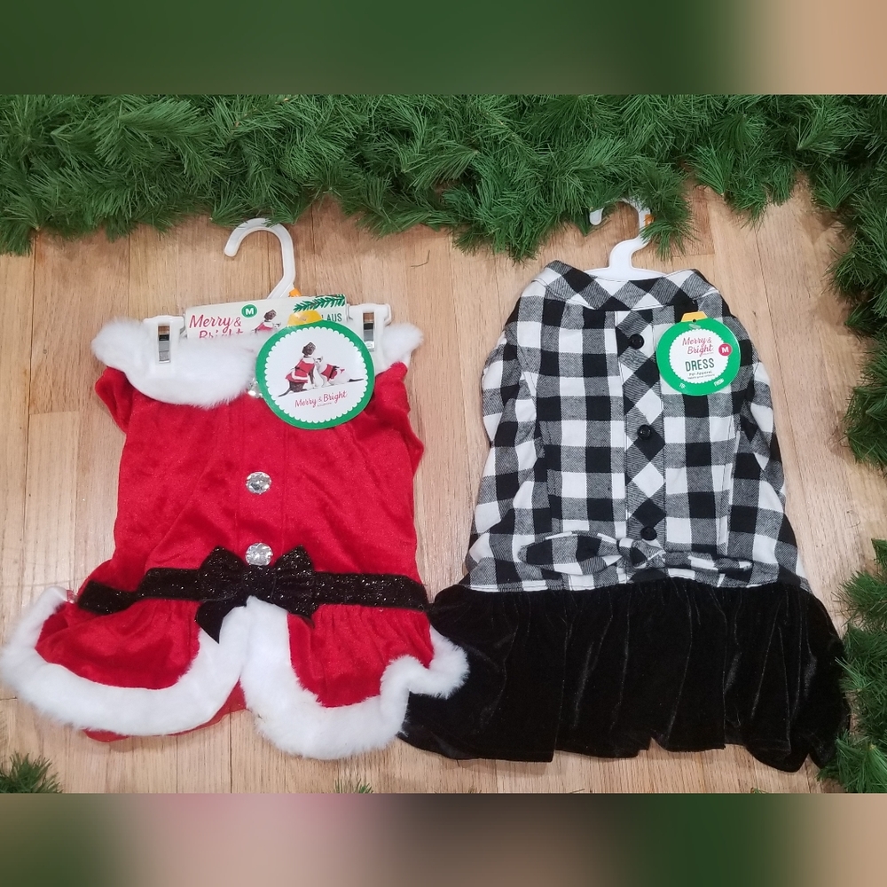 Christmas dog dress set - Medium